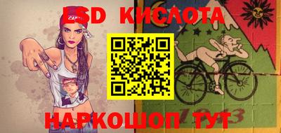 молекула духа Будённовск