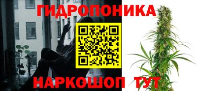 эйфоретик Бузулук
