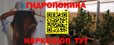 молекула духа Будённовск