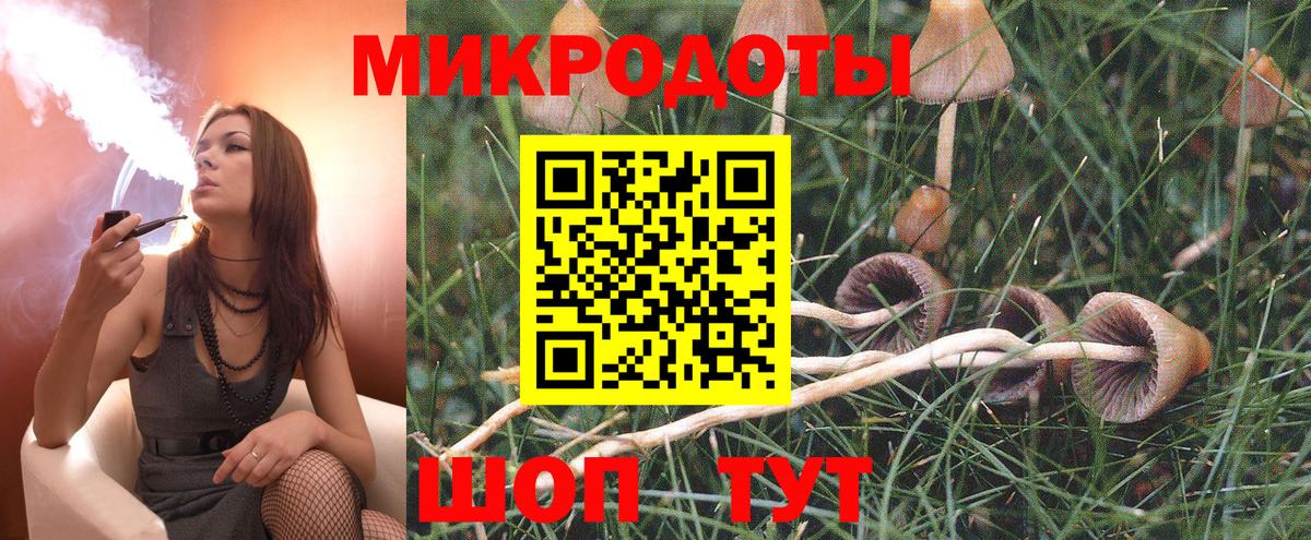 Галлюциногенные грибы ЛСД  наркота  Чебоксары  Вход с VPN 
